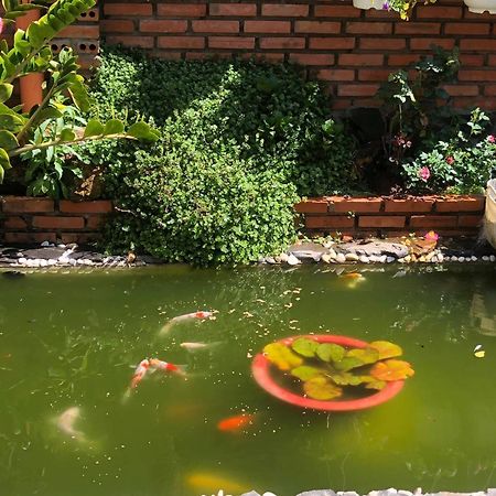 Apartament Rose House Da Lat Zewnętrze zdjęcie