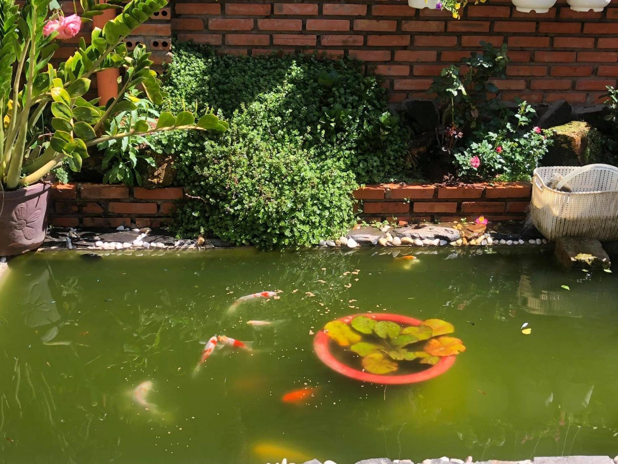 Apartament Rose House Da Lat Zewnętrze zdjęcie